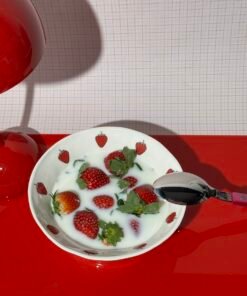 WINTER SALAD porceliano dubenys