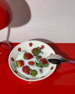 WINTER SALAD porceliano dubenys